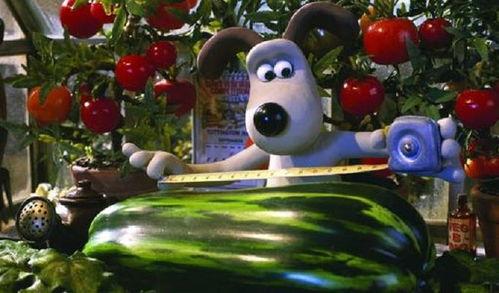 超级无敌掌门狗：人兔的诅咒,超级无敌掌门狗的奇幻冒险之旅